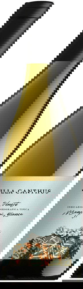 2022 Manzoni Bianco Veneto IGP