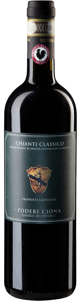 2021 Chianti Classico Annata DOCG