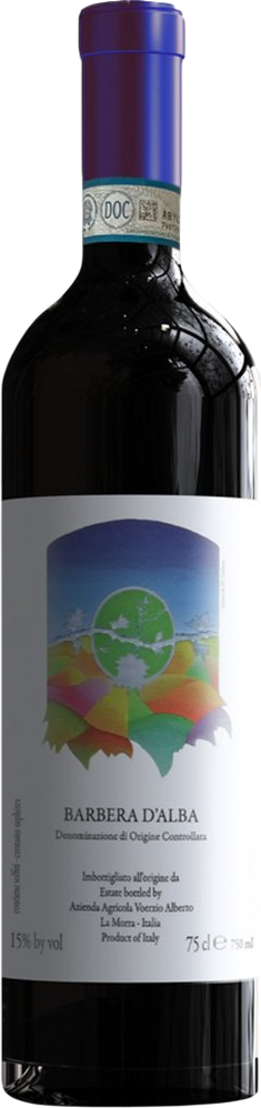 2022 Barbera d'Alba DOC reflection