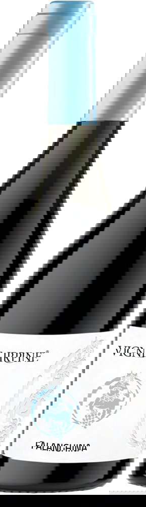 2024 Falanghina Irpinia DOC