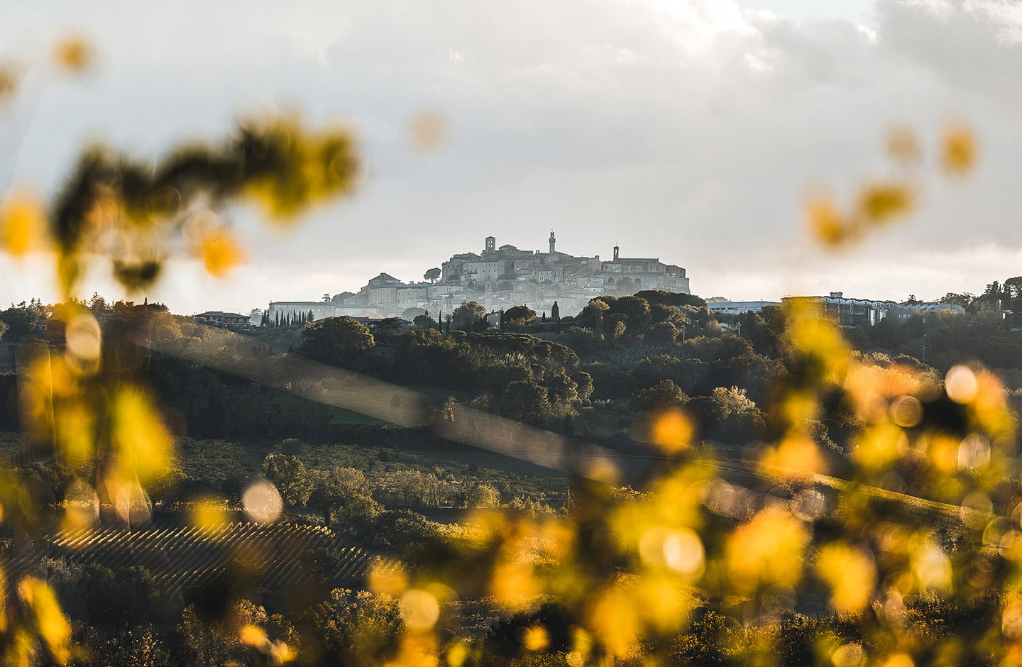 Panorama del borgo di Montepulciano visto tra le colline toscane, scorcio suggestivo all’alba.