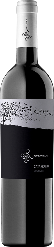 2023 Catarratto Sicilia DOC BIO