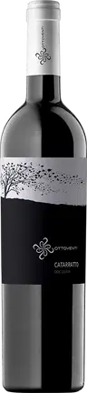2023 Catarratto Sicilia DOC BIO