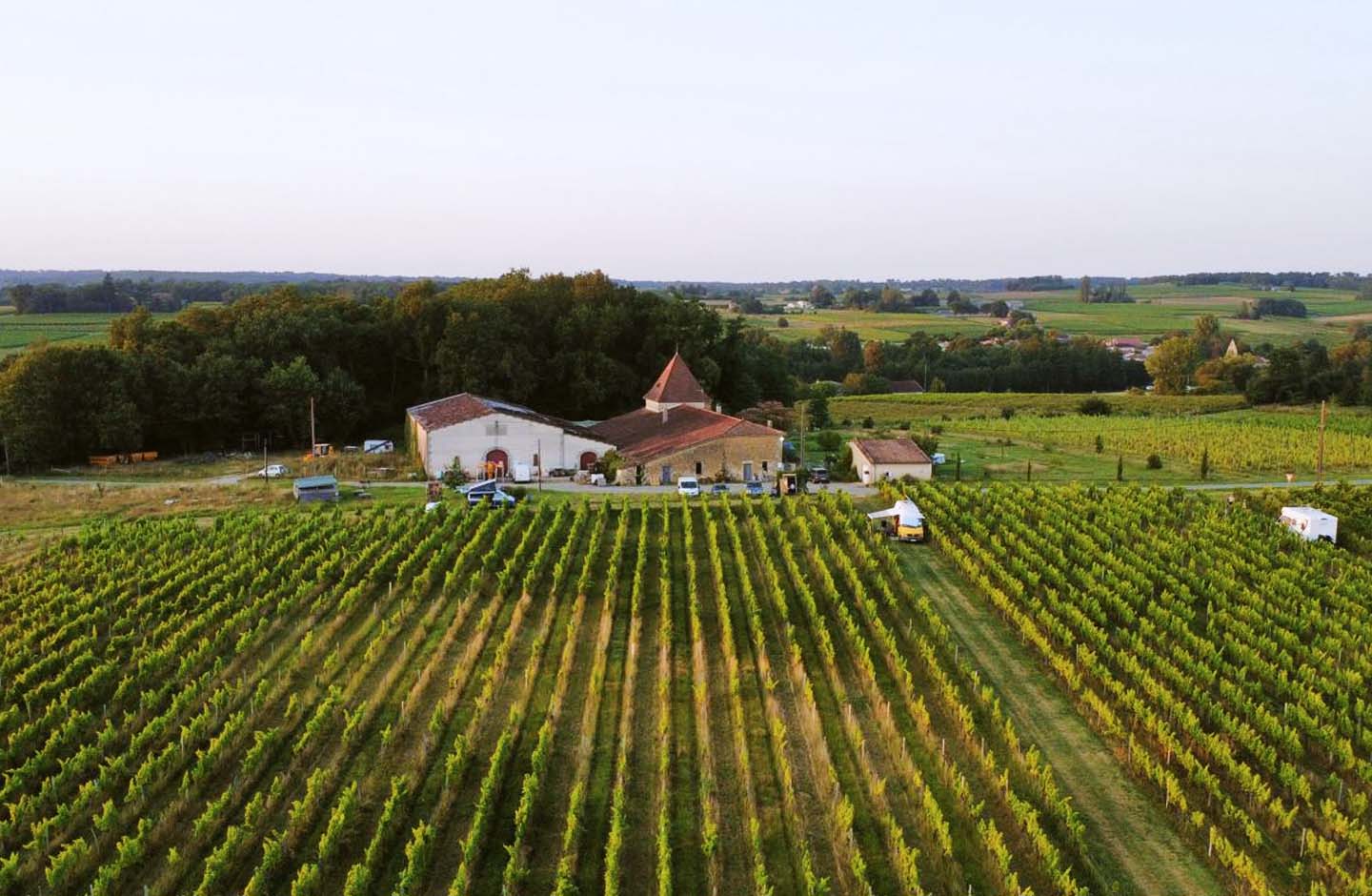 Vista aerea di una tenuta vinicola tradizionale circondata dai vigneti di Bordeaux Supérieur, nel sud-ovest della Francia