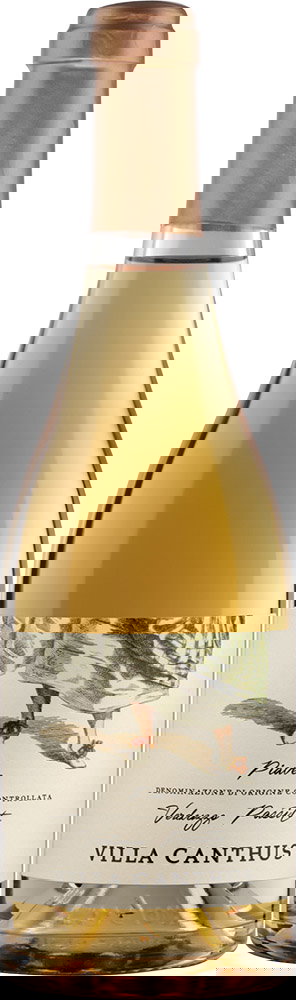 2020 Verduzzo Passito Piave DOC 0,5 L