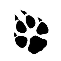 Logo di Massimo Leone