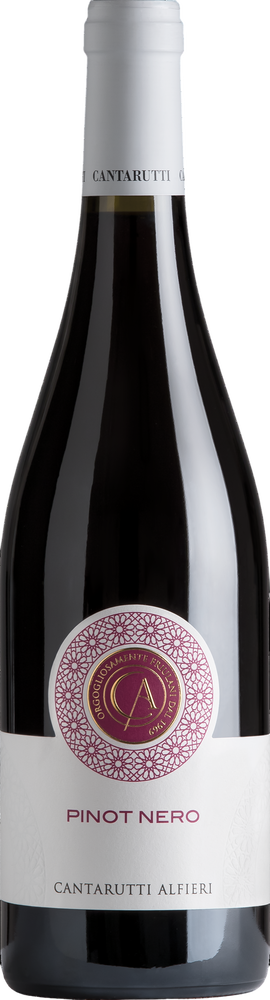 2024 Pinot Nero Friuli Colli Orientali DOC reflection