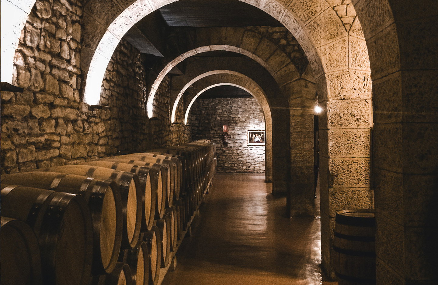 Botti in rovere per vini Bolgheri DOC in cantina toscana.