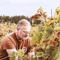 Domaine l'Ancienne Cure