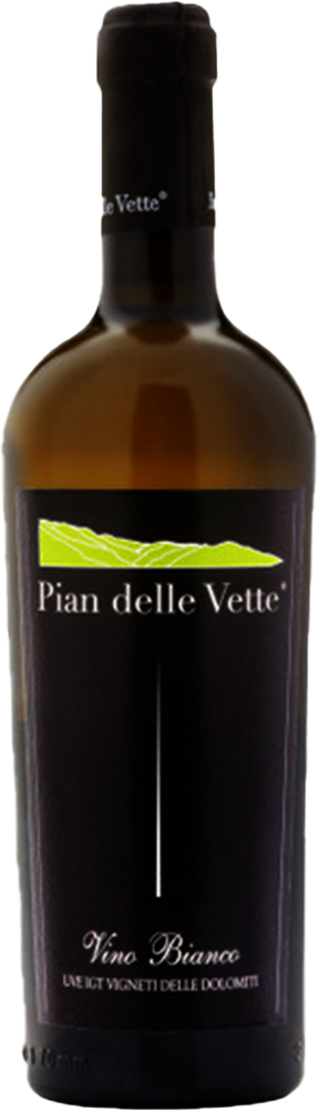 2022 Chardonnay Vigneti delle Dolomiti IGP