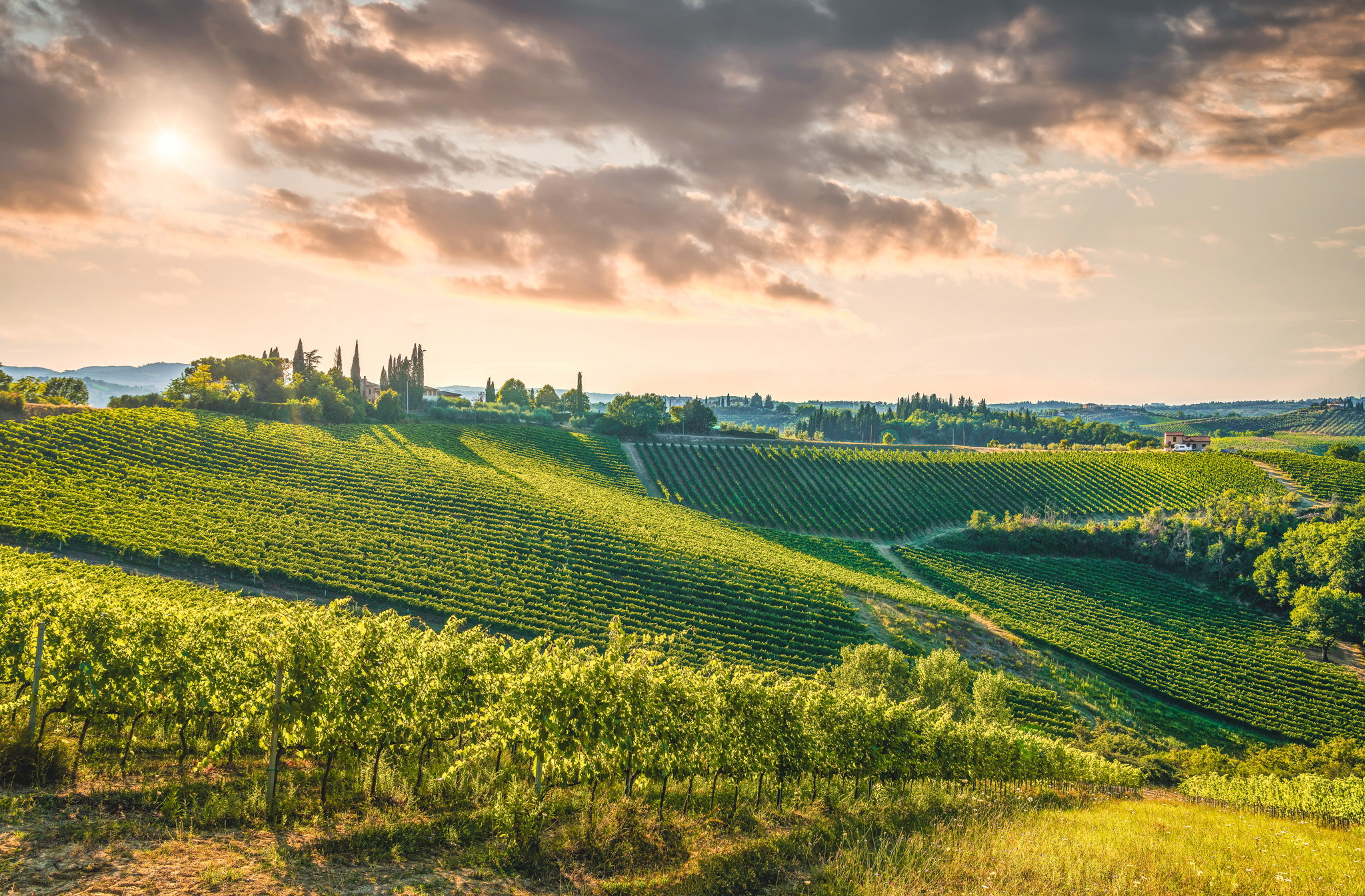 Colline e vigneti del Veneto, terra di grandi vini italiani