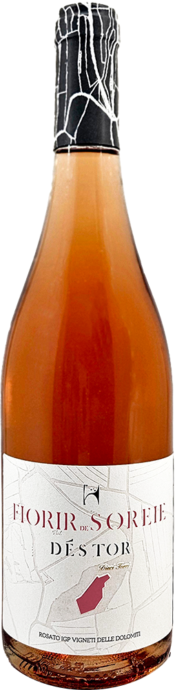 2022 Fiorir De Soreie Vigneti delle Dolomiti IGP