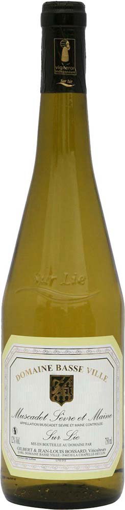 2024 "Domaine Basse-Ville" Muscadet Sèvre et Maine sur Lie AOP reflection