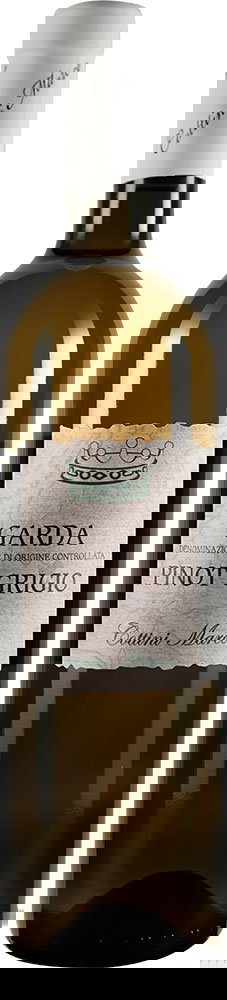 2024 Pinot Grigio Garda DOC