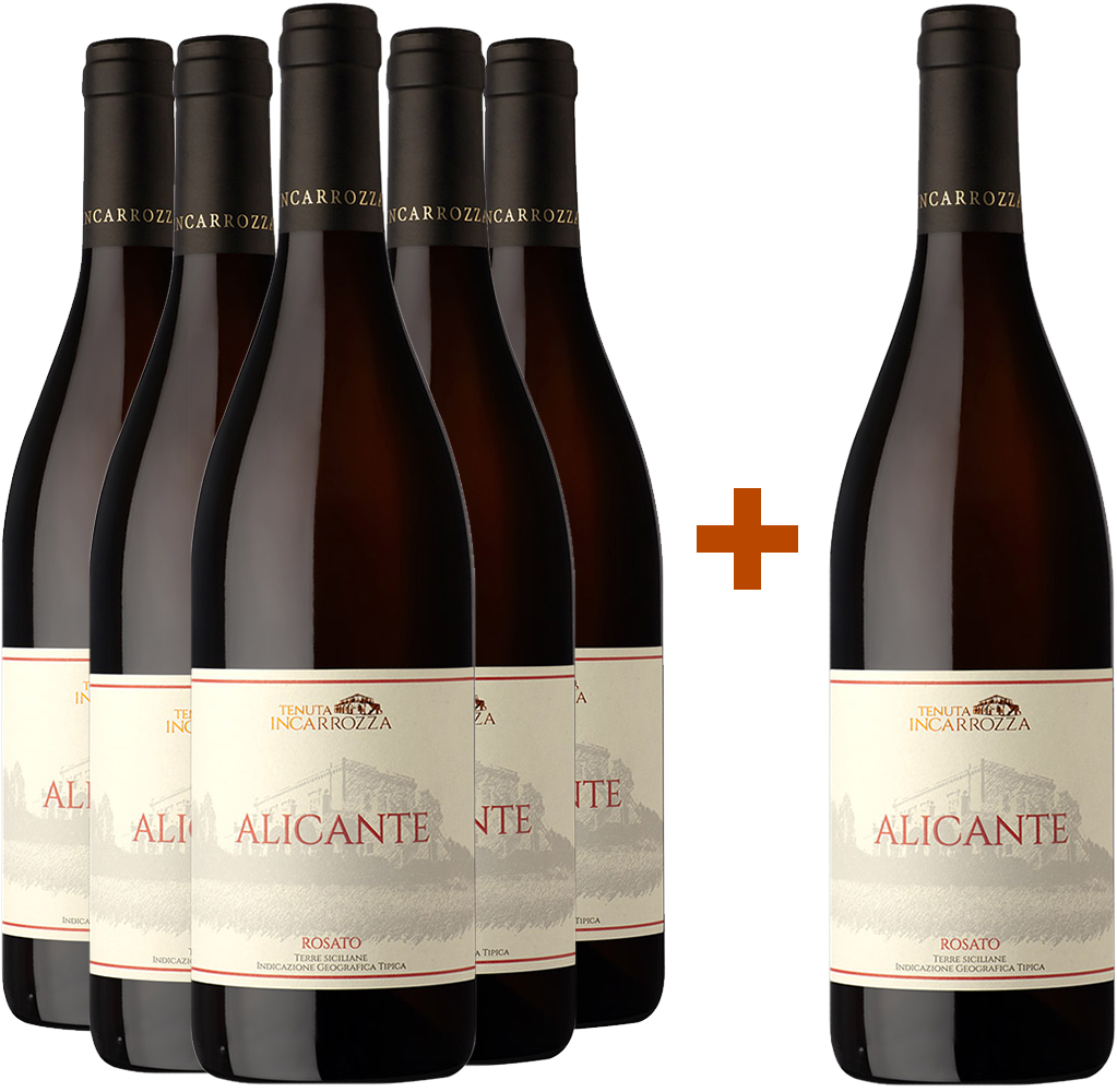 5+1 Alicante Rosato Terre Siciliane IGP