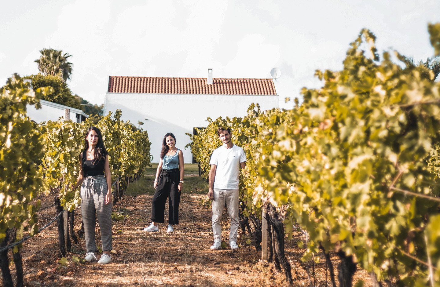 Podere 45