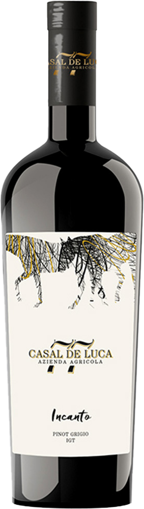 2023 Incanto Pinot Grigio Lazio IGP BIO