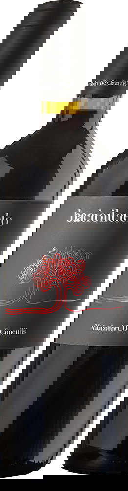 2022 Bacioilcielo Paestum Aglianico IGP