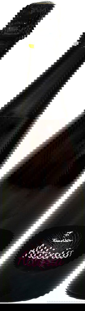 Attinia Terre Siciliane IGP BIO