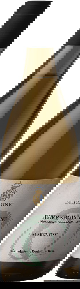 2022 "C" Catarratto Terre Siciliane IGP BIO