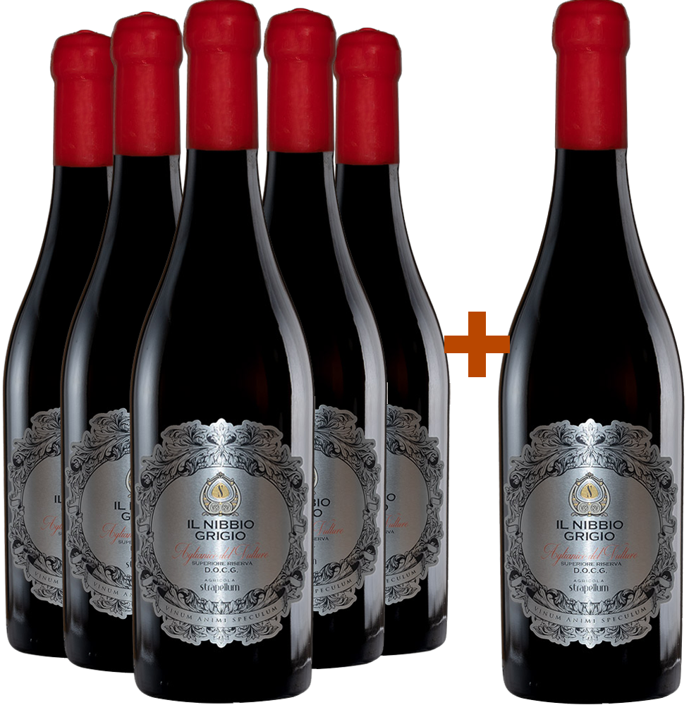 5+1 Il Nibbio Grigio Riserva Aglianico del Vulture Superiore DOCG