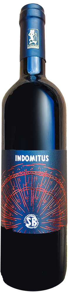 2015 Indomitus Riserva