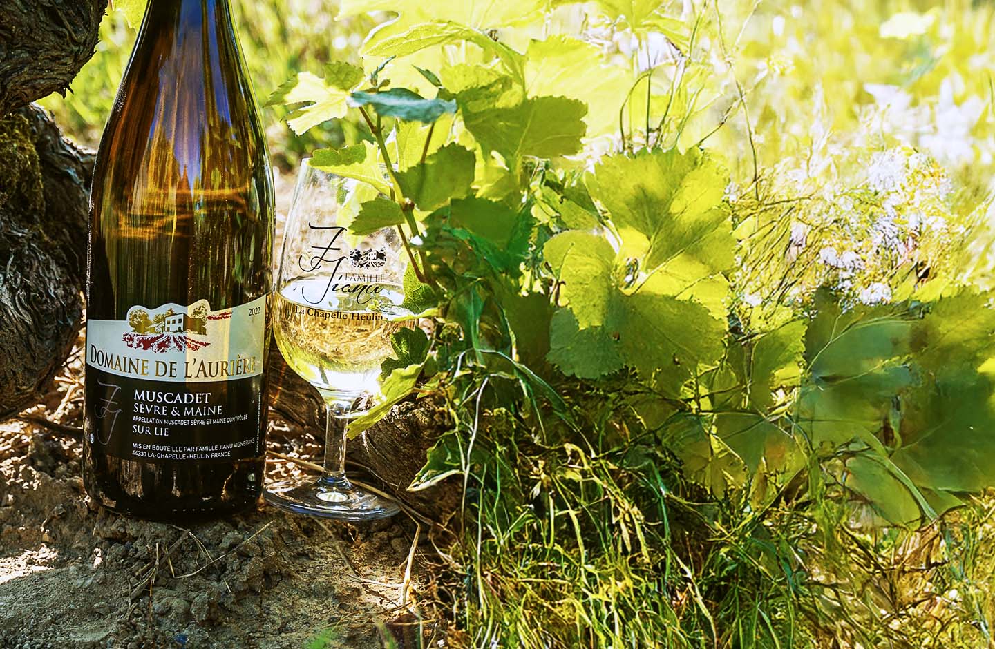 Domaine de l'Aurière