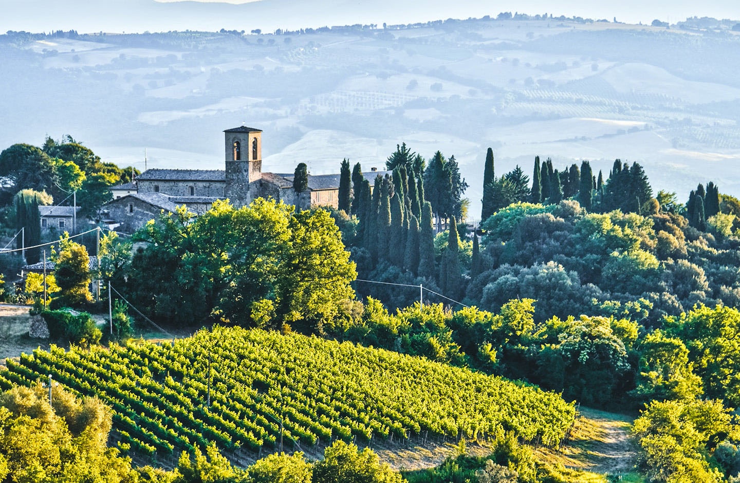 Tenuta Solar