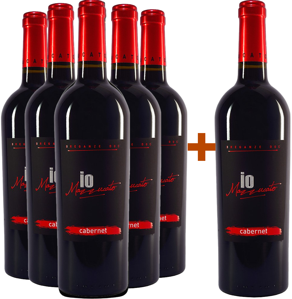 5+1 Cabernet Sauvignon Breganze DOC